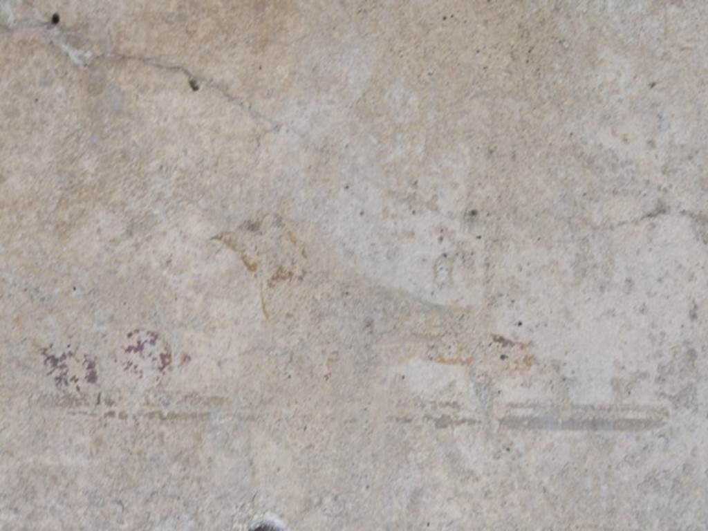 III.2.1 Pompeii. March 2009. Room 5. Ala. Remains of bird painting.