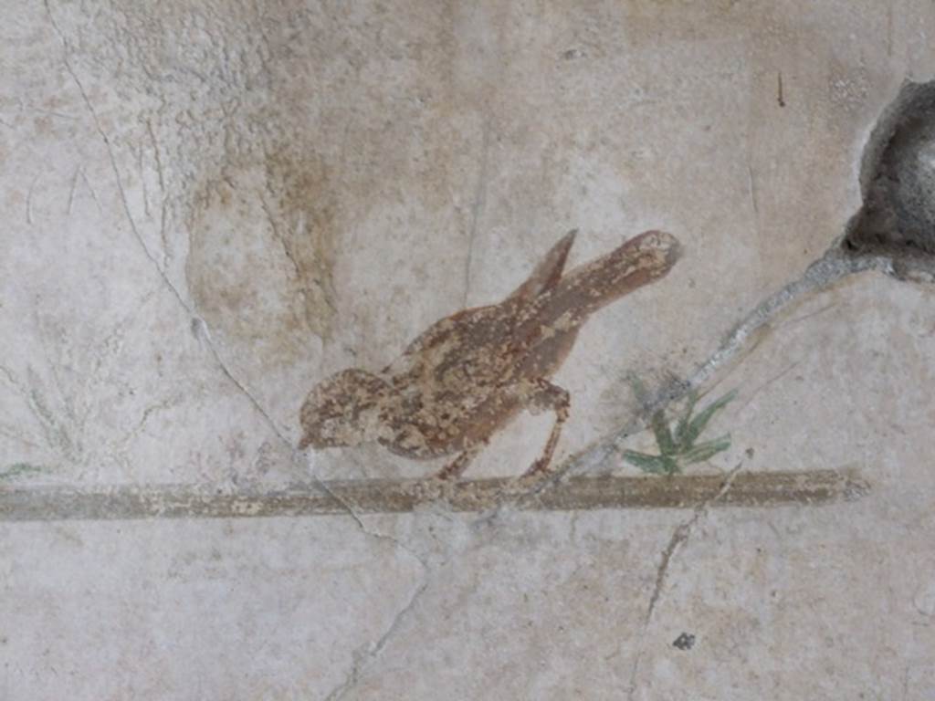 III.2.1 Pompeii. March 2009. Room 5. Ala. Bird painting.