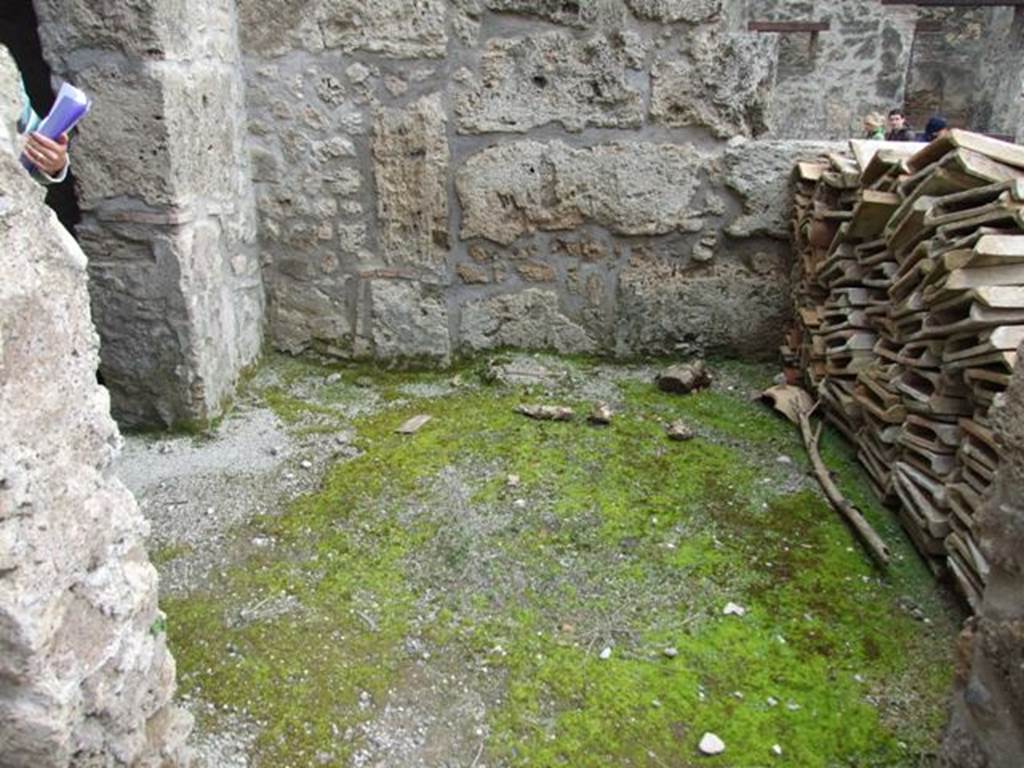 III.2.1 Pompeii. March 2009. Room 6. Anteroom leading to room 7.