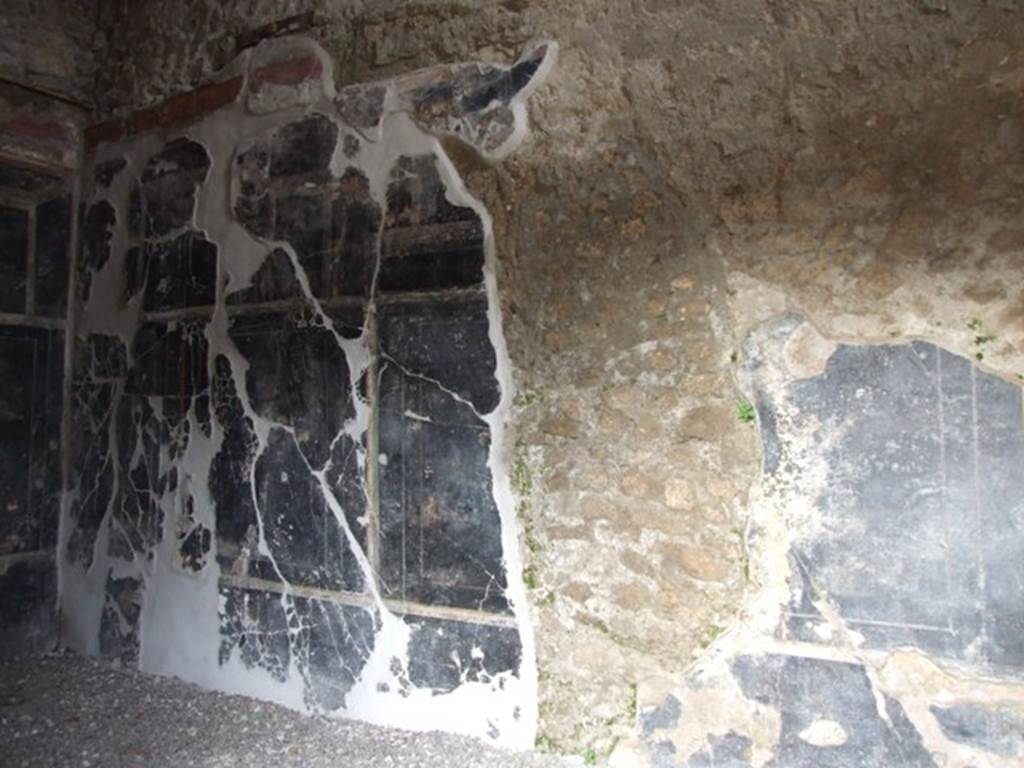 III.2.1 Pompeii.  March 2009.  Room 7.  Oecus.  East wall.