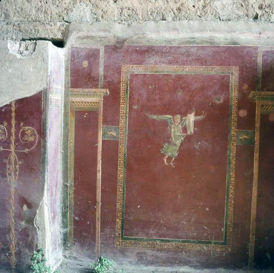 IIII.3.6 Pompeii. 1969.
Detail of painting of winged figure and architectural design on plaster on east wall.
Photo courtesy of Alix Barbet (cl. A. Barbet POMP.00358, année 1969).