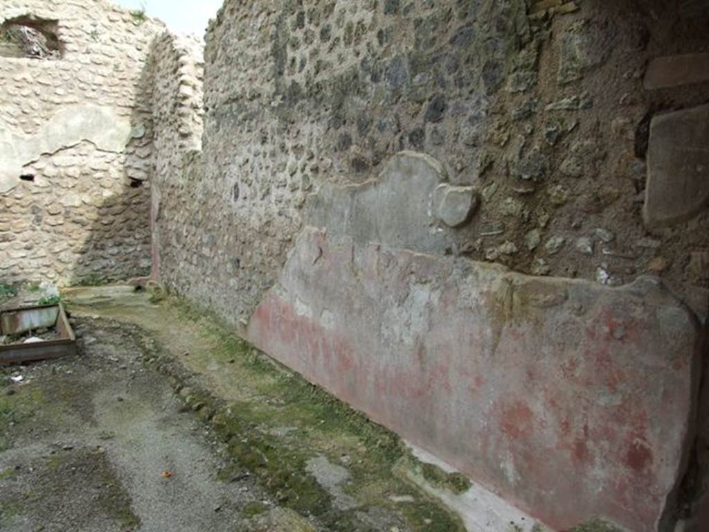 III.4.3 Pompeii. March 2009. South wall of Garden.