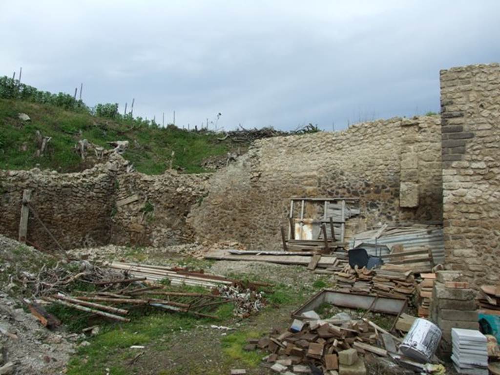 III.4.3 Pompeii. March 2009. North east corner of Garden.