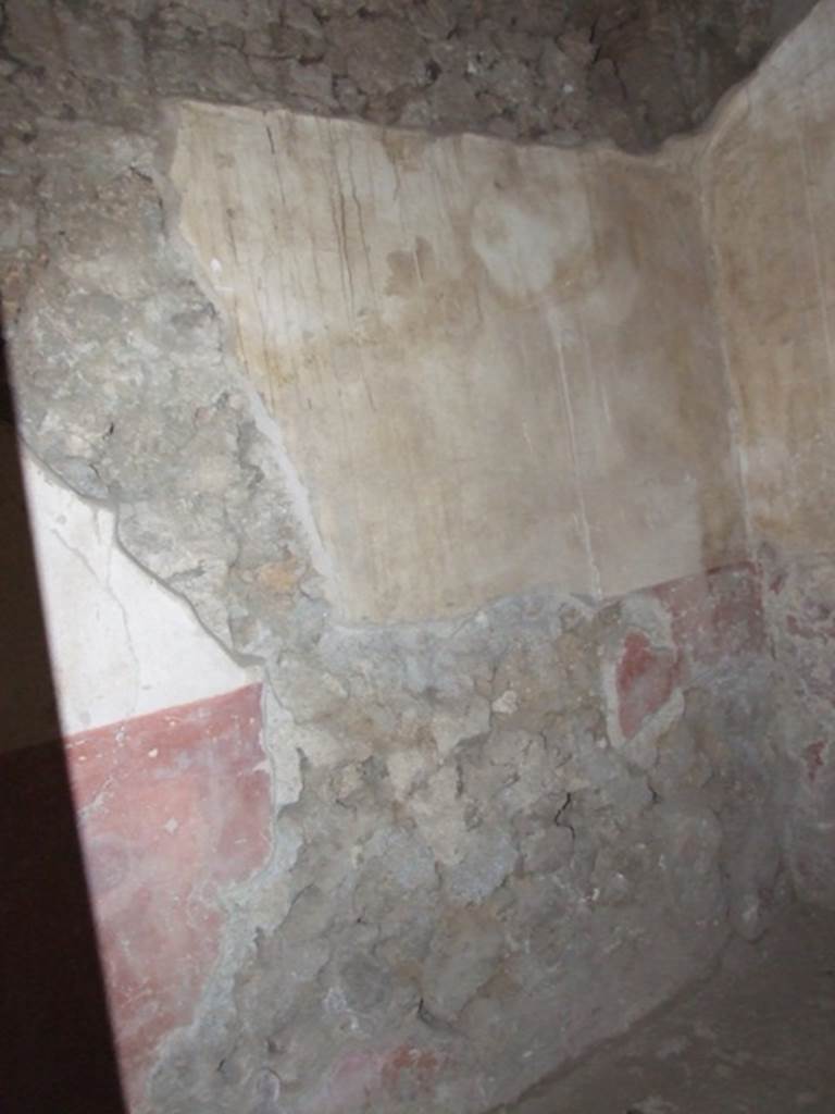 III.4.3 Pompeii. March 2009. Room 10. West wall.