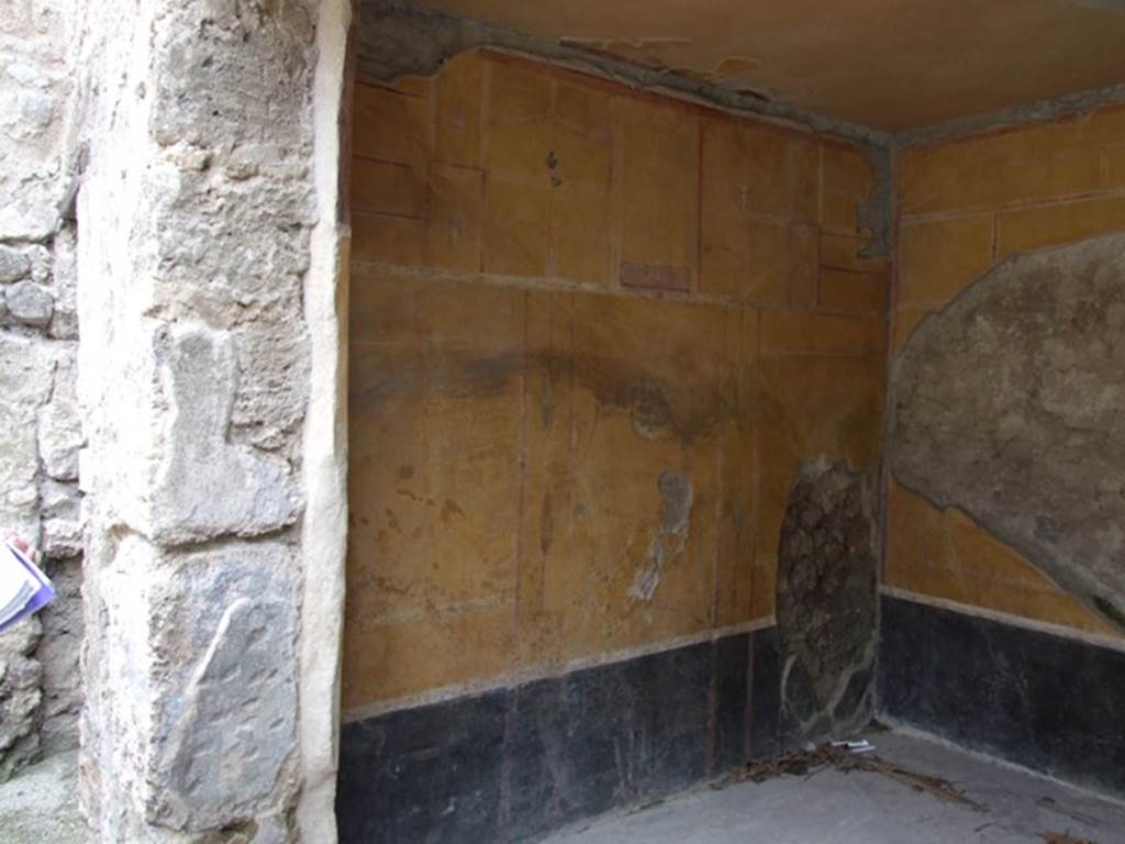 III.4.3 Pompeii. March 2009. Room 17. Ala. South wall.