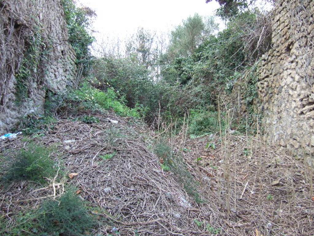 III.4.3 Side wall. December 2005. Unnamed vicolo, looking north. III.5.