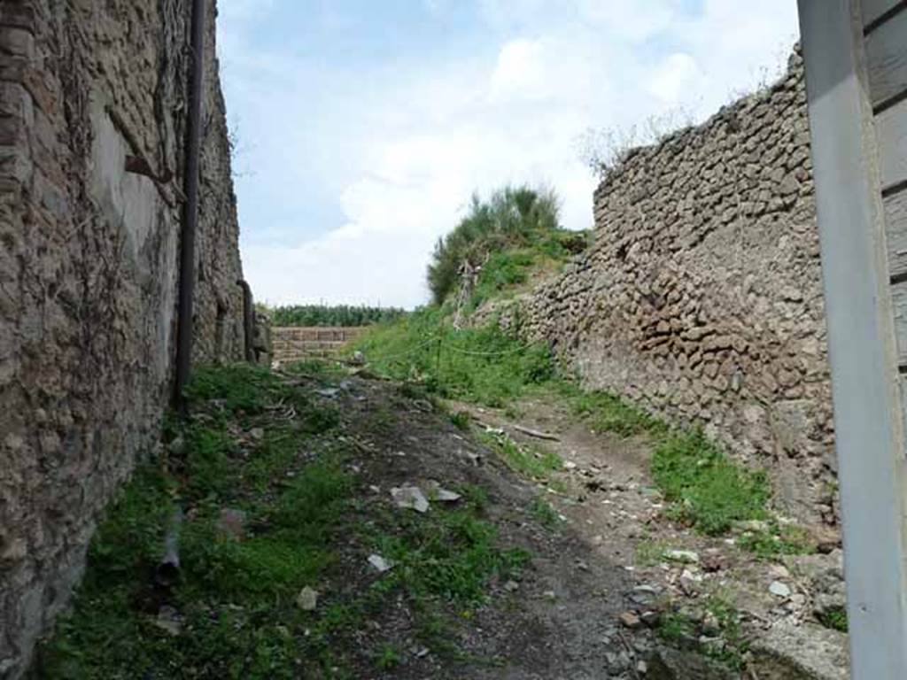 III.4.3 Side wall. May 2010. Unnamed vicolo between III.4 and III.5. Looking north. CIL IV 7714 and 7715 were found on the west wall of the vicolo (on the left). CIL IV 7716 was on the east wall, south west of insula III.5 (on the right).