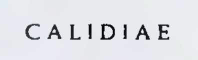 In red thick letters