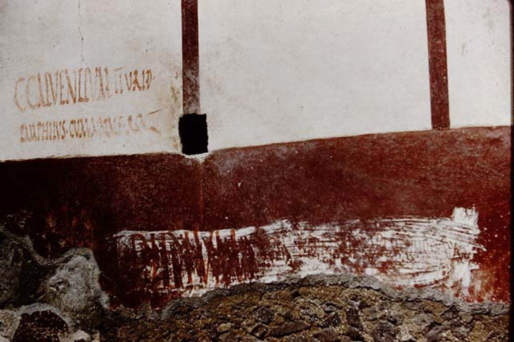 Vicolo di Ifigenia, east side, Pompeii. 1961. Exterior wall between entrances III.4.e, on left, and III.4.d, on right.
Photo by Stanley A. Jashemski.
Source: The Wilhelmina and Stanley A. Jashemski archive in the University of Maryland Library, Special Collections (See collection page) and made available under the Creative Commons Attribution-Non Commercial License v.4. See Licence and use details.
J61f0556
The inscription on the left reads –
C. CALVENTIVM II V R I D
PAMPHILVS CVM NATALE ROG
We cannot read the large inscription at the bottom, which looks as if it has been over-painted many times.
According to Liselotte Eschebach, Giordano & Casale, had also read
No.25: “Pamphilus rog Acestes”
No.26: “Pamphilus cum Natale rog” (above)
No. 106: “Ampliata, Florilla”
No. 108 & 110: “Pamphilus”
No.111: “Pamphilus”
See Eschebach, L., 1993. Gebäudeverzeichnis und Stadtplan der antiken Stadt Pompeji. Köln: Böhlau. (p. 106-7)
See Giordano, C. & Casale, A: Iscrizioni Pompeiane Inedite scoperte tra gli anni 1954-1978: Atti Acc Pont NsS 39, 1990 (1991) pp. 273ff.