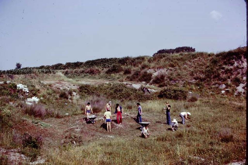 III.7 Pompeii. 1976. Clearing along the north side of area, looking north-west. Photo by Stanley A. Jashemski.
Source: The Wilhelmina and Stanley A. Jashemski archive in the University of Maryland Library, Special Collections (See collection page) and made available under the Creative Commons Attribution-Non Commercial License v.4. See Licence and use details. J76f0311