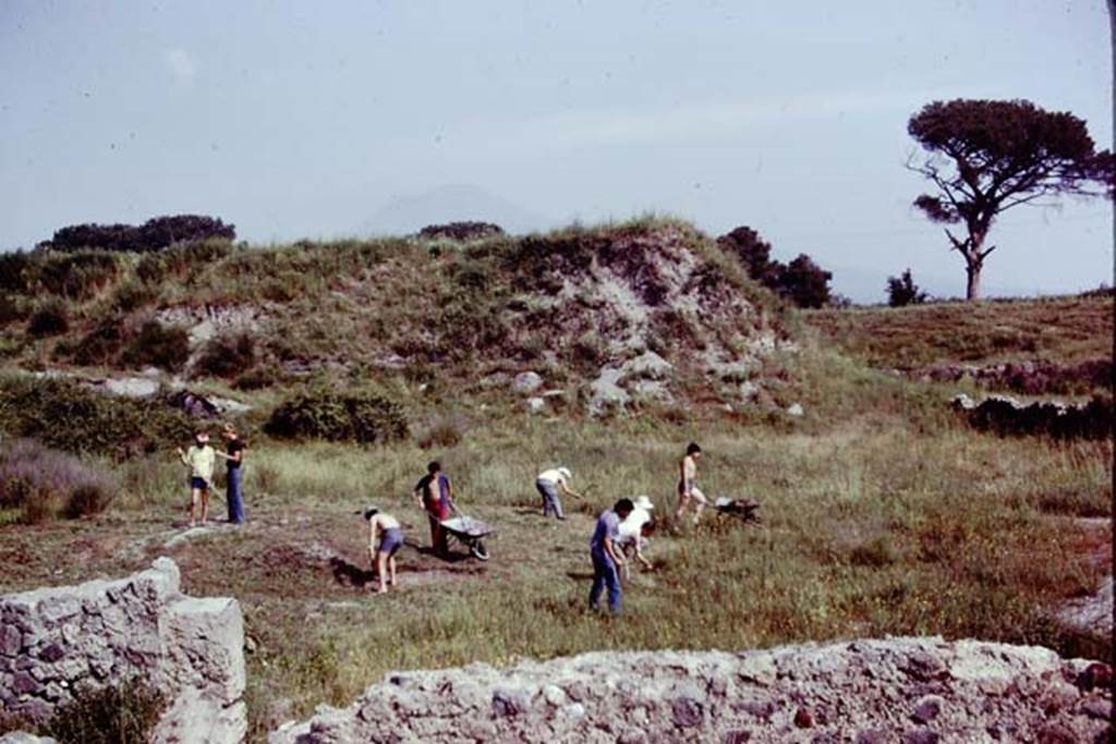 III.7 Pompeii. 1976. Clearing along the north side of area, looking north-east. Photo by Stanley A. Jashemski.
Source: The Wilhelmina and Stanley A. Jashemski archive in the University of Maryland Library, Special Collections (See collection page) and made available under the Creative Commons Attribution-Non Commercial License v.4. See Licence and use details. J76f0312