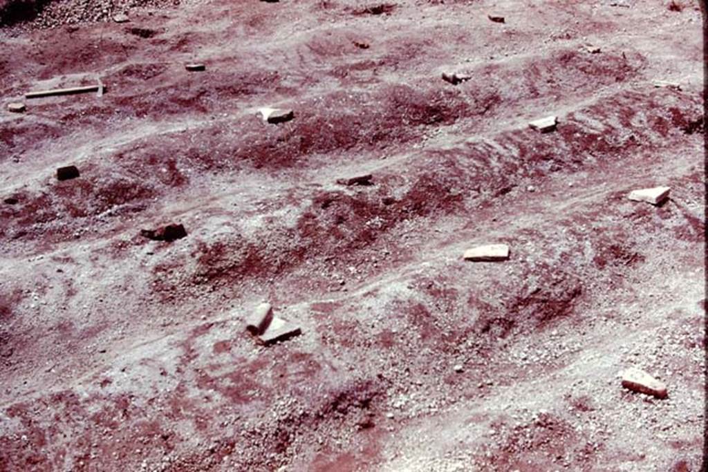 III.7 Pompeii. 1976. Furrows with root cavities protected by stones. Photo by Stanley A. Jashemski.
Source: The Wilhelmina and Stanley A. Jashemski archive in the University of Maryland Library, Special Collections (See collection page) and made available under the Creative Commons Attribution-Non Commercial License v.4. See Licence and use details. J76f0333