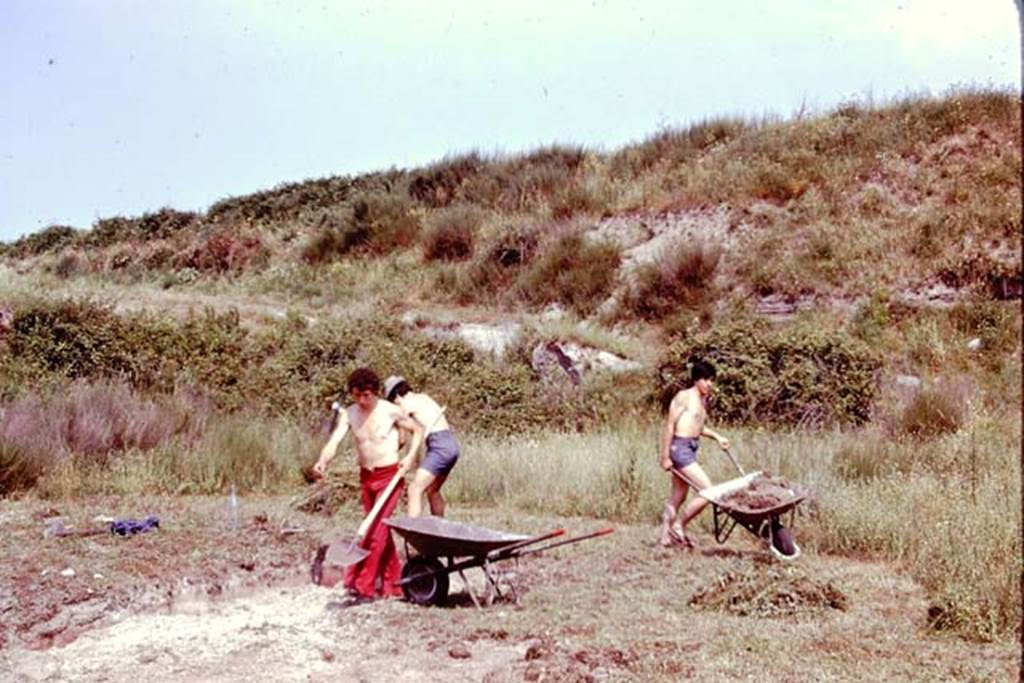 III.7 Pompeii. 1976. Clearing the area of the triclinium. Photo by Stanley A. Jashemski.
Source: The Wilhelmina and Stanley A. Jashemski archive in the University of Maryland Library, Special Collections (See collection page) and made available under the Creative Commons Attribution-Non Commercial License v.4. See Licence and use details. J76f0318