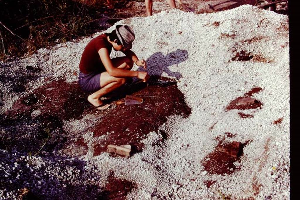 III.7 Pompeii. 1976. Cleaning the root cavities. Photo by Stanley A. Jashemski.
Source: The Wilhelmina and Stanley A. Jashemski archive in the University of Maryland Library, Special Collections (See collection page) and made available under the Creative Commons Attribution-Non Commercial License v.4. See Licence and use details. J76f0322