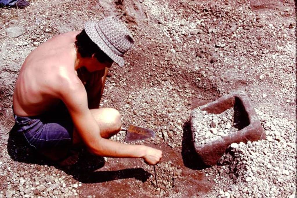 III.7 Pompeii. 1976. Cleaning a root cavity. Photo by Stanley A. Jashemski.
Source: The Wilhelmina and Stanley A. Jashemski archive in the University of Maryland Library, Special Collections (See collection page) and made available under the Creative Commons Attribution-Non Commercial License v.4. See Licence and use details. J76f0329