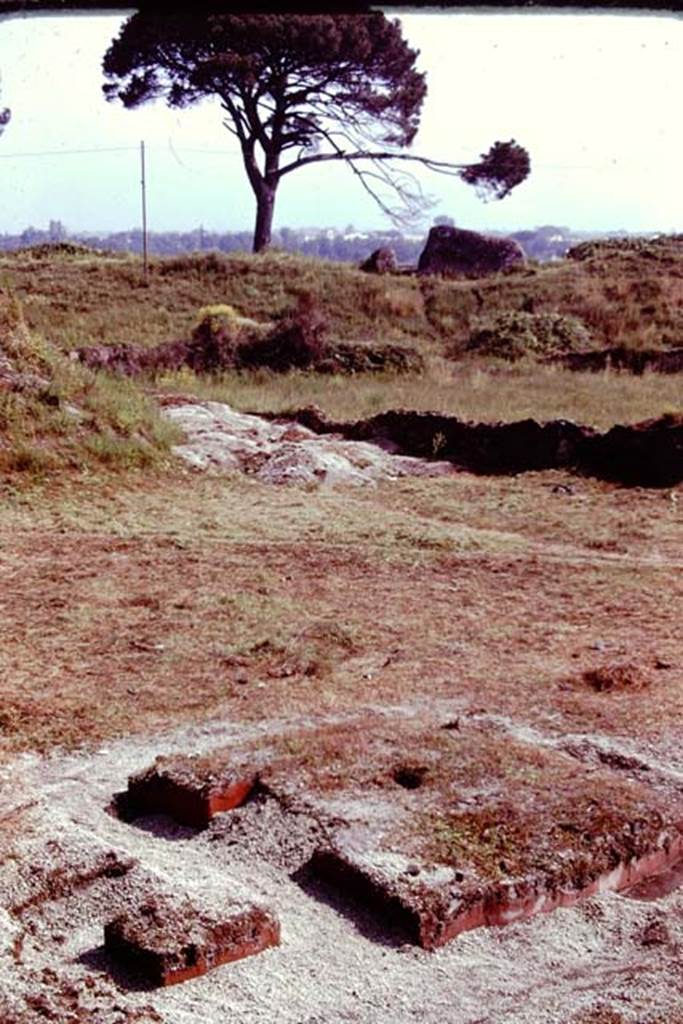 III.7 Pompeii. 1976. Looking north-east across triclinium. Photo by Stanley A. Jashemski.
Source: The Wilhelmina and Stanley A. Jashemski archive in the University of Maryland Library, Special Collections (See collection page) and made available under the Creative Commons Attribution-Non Commercial License v.4. See Licence and use details. J76f0337
