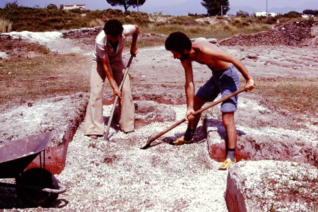 III.7 Pompeii. 1976. Clearing the lapilli from the triclinium, still covered in red stucco. Photo by Stanley A. Jashemski.
Source: The Wilhelmina and Stanley A. Jashemski archive in the University of Maryland Library, Special Collections (See collection page) and made available under the Creative Commons Attribution-Non Commercial License v.4. See Licence and use details. J76f0348