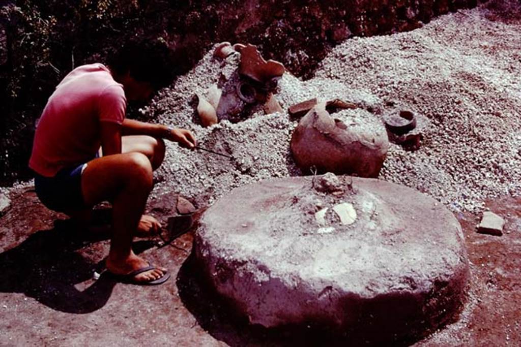 III.7 Pompeii. 1976. Finds from near south wall, possibly from near the rear doorway of the house. The circular object was difficult to explain by Wilhelmina. It was made of cocciopesto (cement with crushed terracotta) and had a slight peak at its centre.
It had a somewhat similar shape to the masonry base that would have supported the mill in a bakery. Nearby a heap of terracotta fragments of amphorae, and pots and pans of various kinds. Photo by Stanley A. Jashemski.
Source: The Wilhelmina and Stanley A. Jashemski archive in the University of Maryland Library, Special Collections (See collection page) and made available under the Creative Commons Attribution-Non Commercial License v.4. See Licence and use details. J76f0350
