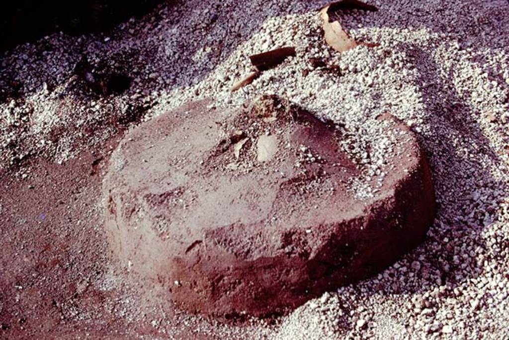 III.7 Pompeii. 1976. Circular object made of cocciopesto (cement with crushed terracotta) with a slight peak at its centre. Photo by Stanley A. Jashemski.
Source: The Wilhelmina and Stanley A. Jashemski archive in the University of Maryland Library, Special Collections (See collection page) and made available under the Creative Commons Attribution-Non Commercial License v.4. See Licence and use details. J76f0330