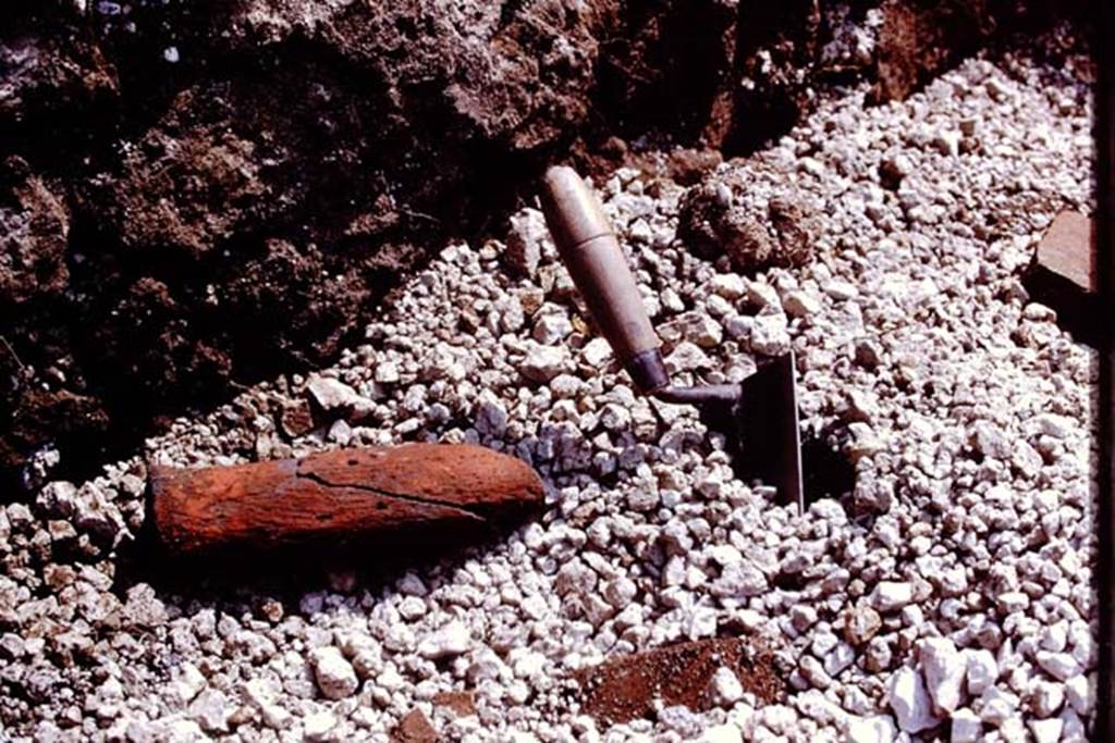 III.7 Pompeii. 1976. Large red phallus discovered at the base of the wall. It was about 9 inches long, and broken into three pieces. Found nearby was the tip of a smaller red phallus. Photo by Stanley A. Jashemski.
Source: The Wilhelmina and Stanley A. Jashemski archive in the University of Maryland Library, Special Collections (See collection page) and made available under the Creative Commons Attribution-Non Commercial License v.4. See Licence and use details. J76f0435