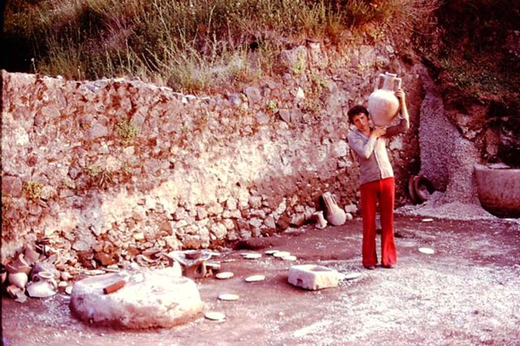 III.7 Pompeii. 1976. South-west corner of site, with gathered finds. Photo by Stanley A. Jashemski.
Source: The Wilhelmina and Stanley A. Jashemski archive in the University of Maryland Library, Special Collections (See collection page) and made available under the Creative Commons Attribution-Non Commercial License v.4. See Licence and use details. J76f0479
