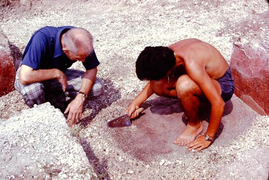III.7 Pompeii. 1976. Carefully sifting through the lapilli. Photo by Stanley A. Jashemski.
Source: The Wilhelmina and Stanley A. Jashemski archive in the University of Maryland Library, Special Collections (See collection page) and made available under the Creative Commons Attribution-Non Commercial License v.4. See Licence and use details. J76f0369