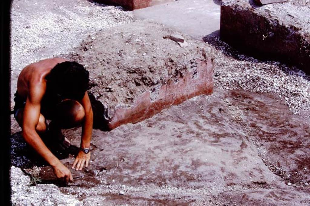 III.7 Pompeii. 1976. Examining the original soil level. Photo by Stanley A. Jashemski.
Source: The Wilhelmina and Stanley A. Jashemski archive in the University of Maryland Library, Special Collections (See collection page) and made available under the Creative Commons Attribution-Non Commercial License v.4. See Licence and use details. J76f0423
