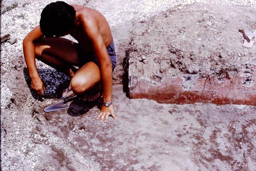 III.7 Pompeii. 1976. Examining the original soil level. Photo by Stanley A. Jashemski.
Source: The Wilhelmina and Stanley A. Jashemski archive in the University of Maryland Library, Special Collections (See collection page) and made available under the Creative Commons Attribution-Non Commercial License v.4. See Licence and use details. J76f0424