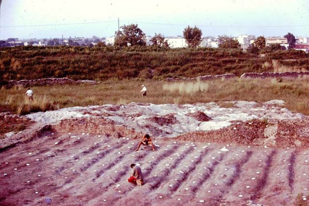 III.7 Pompeii. 1976. Looking east towards triangular area, with Wilhelmina and Sig. Sicignano examining it. Photo by Stanley A. Jashemski.
Source: The Wilhelmina and Stanley A. Jashemski archive in the University of Maryland Library, Special Collections (See collection page) and made available under the Creative Commons Attribution-Non Commercial License v.4. See Licence and use details. J76f0472