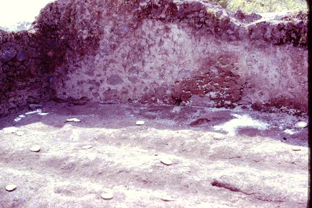 III.7 Pompeii. 1976. South-east corner, with furrows and root cavities. Photo by Stanley A. Jashemski.
Source: The Wilhelmina and Stanley A. Jashemski archive in the University of Maryland Library, Special Collections (See collection page) and made available under the Creative Commons Attribution-Non Commercial License v.4. See Licence and use details. J76f0548
According to Wilhelmina, “Tree-root cavities were found along the edges of the vineyard near the east and south walls. The large tree near the east wall and the one near the south wall had the root structures of figs or possibly olives”.
See Jashemski, W. F., 1993. The Gardens of Pompeii, Volume II: Appendices. New York: Caratzas, (p.104).