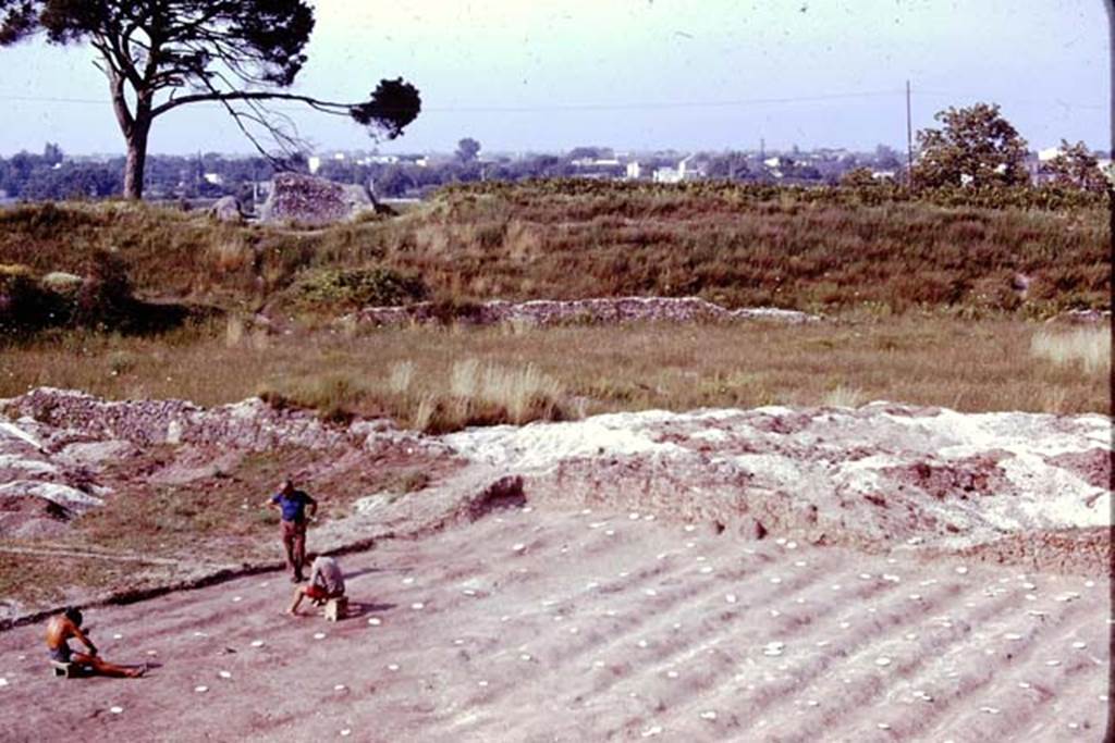 III.7 Pompeii. 1976. Looking north-east across site. Photo by Stanley A. Jashemski.
Source: The Wilhelmina and Stanley A. Jashemski archive in the University of Maryland Library, Special Collections (See collection page) and made available under the Creative Commons Attribution-Non Commercial License v.4. See Licence and use details. J76f0493