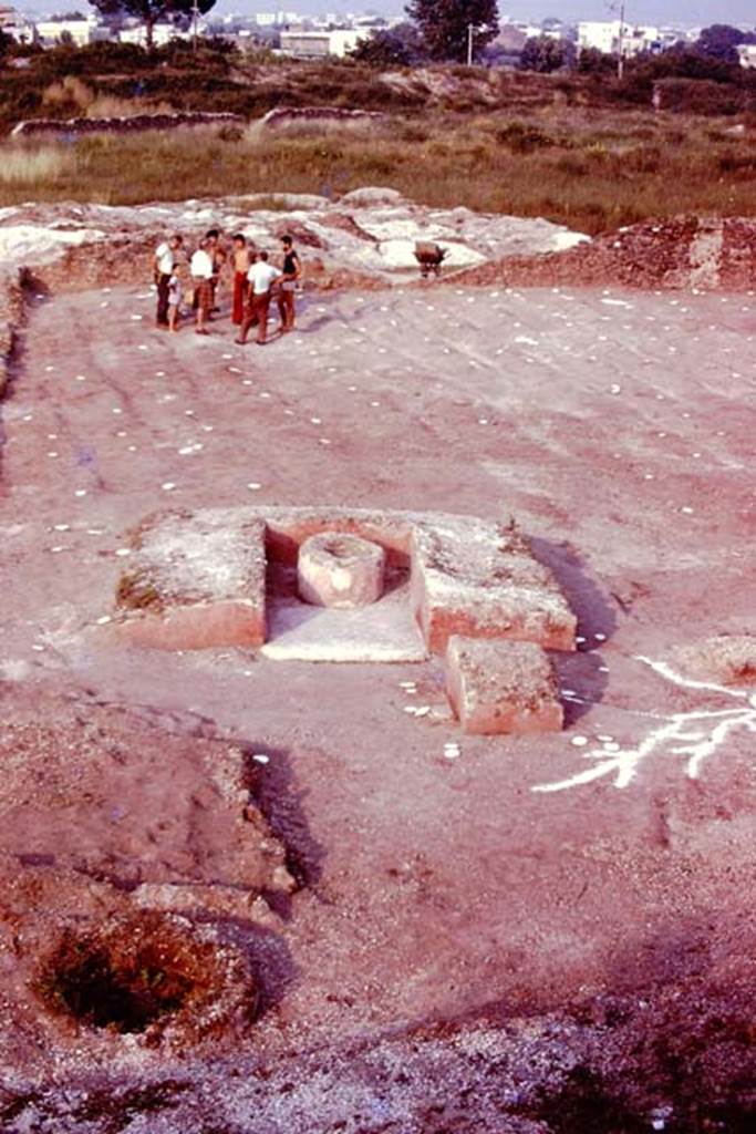 III.7 Pompeii. 1976. Looking east across triclinium. Photo by Stanley A. Jashemski.
Source: The Wilhelmina and Stanley A. Jashemski archive in the University of Maryland Library, Special Collections (See collection page) and made available under the Creative Commons Attribution-Non Commercial License v.4. See Licence and use details.
J76f0530
According to Wilhelmina, “The tree to the south-west of the triclinium, with the long spreading roots reaching to the surface was clearly a poplar.”
See Jashemski, W. F., 1993. The Gardens of Pompeii, Volume II: Appendices. New York: Caratzas, (p.104).