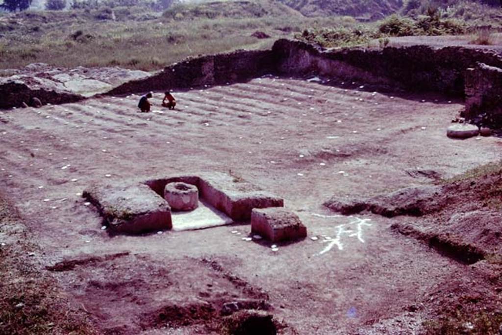 III.7 Pompeii. 1976. Looking south-east. Photo by Stanley A. Jashemski.
Source: The Wilhelmina and Stanley A. Jashemski archive in the University of Maryland Library, Special Collections (See collection page) and made available under the Creative Commons Attribution-Non Commercial License v.4. See Licence and use details. J76f0546
According to Wilhelmina, “Found next to the triclinium, were the cavities of the post of the pergola, and root cavities of the vines that had shaded it.” To the west of the triclinium was a nursery plot with low masonry walls on the east and south, which was filled with an unusual black soil. Here a broken planting pot with one hole in the bottom and three holes in its side, was found. It was sent to be restored.”