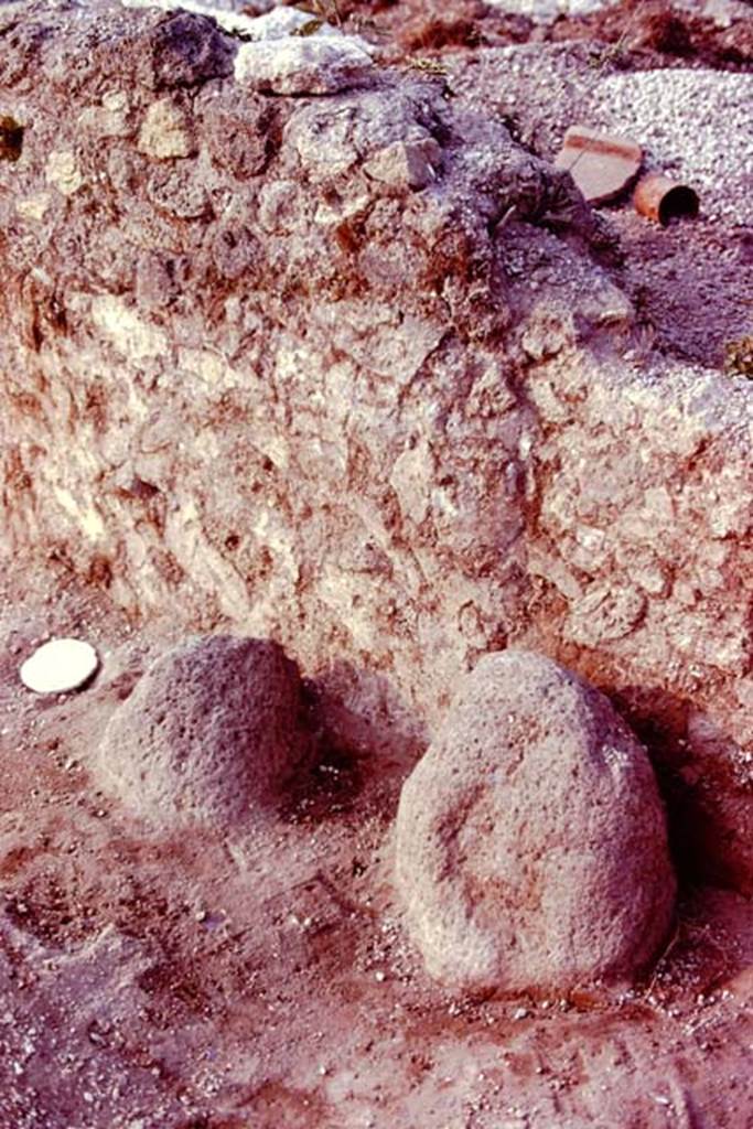 III.7 Pompeii. 1976. Two boundary stones. Photo by Stanley A. Jashemski.
Source: The Wilhelmina and Stanley A. Jashemski archive in the University of Maryland Library, Special Collections (See collection page) and made available under the Creative Commons Attribution-Non Commercial License v.4. See Licence and use details. J76f0531
According to Wilhelmina, “Against the east wall of the vineyard about 20 feet from the south wall, as large lava stone was firmly planted in the ground, with a smaller one beside it to the left. They were boundary stones. Two properties had apparently been combined to be planted into one vineyard.”
