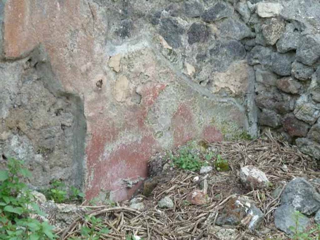 III.8.4 Pompeii. May 2010. Painted plaster in north-west corner of atrium.