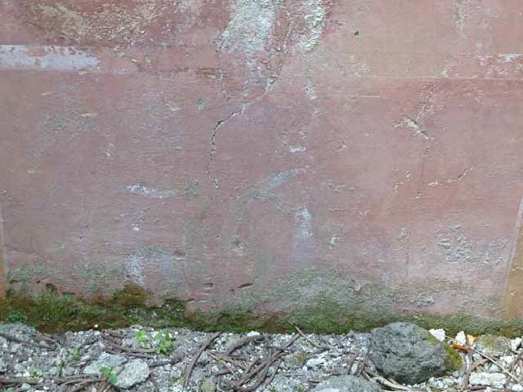 III.8.4 Pompeii. May 2010. Detail of painted decoration on north wall.