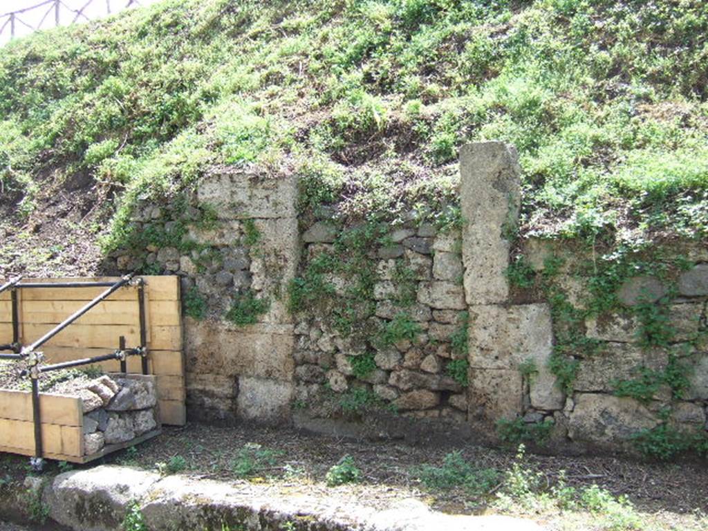 III.9.3 (behind wood) and III.9.2 (in centre). Pompeii. May 2006.