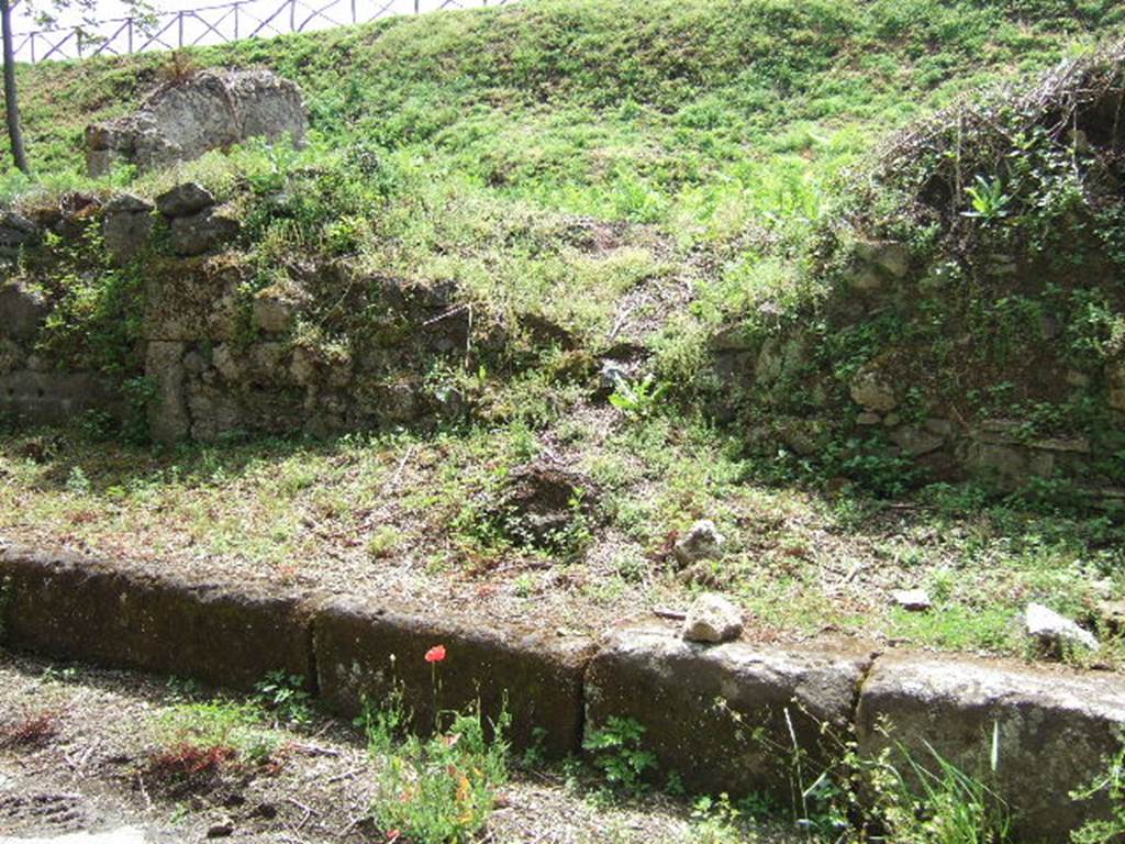 III.10.1 Pompeii. May 2006. Entrance.