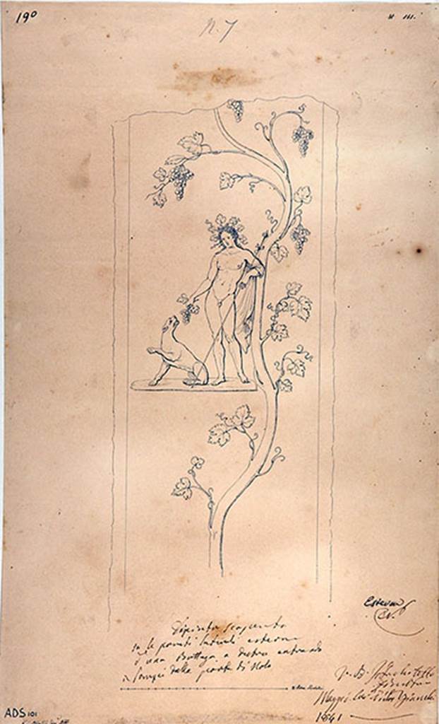 IV.1.d and IV.1.e Pompeii behind custodians shed. 1841 drawing by G. Abbate.
Drawing of a naked Bacchus crowned with vine leaves, and with thyrsus, grapes and sitting panther.
A vine runs from bottom to top of the panel.
Fröhlich identified Bacchus on the right of the entrance and Mercury on the left of the entrance.
Now in Naples Archaeological Museum. Inventory number ADS 101.
See Fröhlich, T., 1991. Lararien und Fassadenbilder in den Vesuvstädten. Mainz: von Zabern. (p.316, F26).
Photo © ICCD. https://www.catalogo.beniculturali.it
Utilizzabili alle condizioni della licenza Attribuzione - Non commerciale - Condividi allo stesso modo 2.5 Italia (CC BY-NC-SA 2.5 IT)
Kuivalainen comments –
“Bacchus is offering a bunch of grapes to the panther. The composition and its details, such as the large wreath, the thirsty/covetous panther with the naked Bacchus, and the considerable size of the vine, all emphasize the significance of the harvest.”
See Kuivalainen, I., 2021. The Portrayal of Pompeian Bacchus. Commentationes Humanarum Litterarum 140. Helsinki: Finnish Society of Sciences and Letters, (p.109-10, C5).