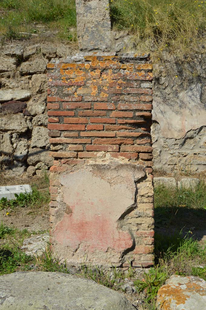 IV.2.a, Pompeii. October 2017. Pilaster on west side of portico, looking north to south side.
Foto Taylor Lauritsen, ERC Grant 681269 DÉCOR.