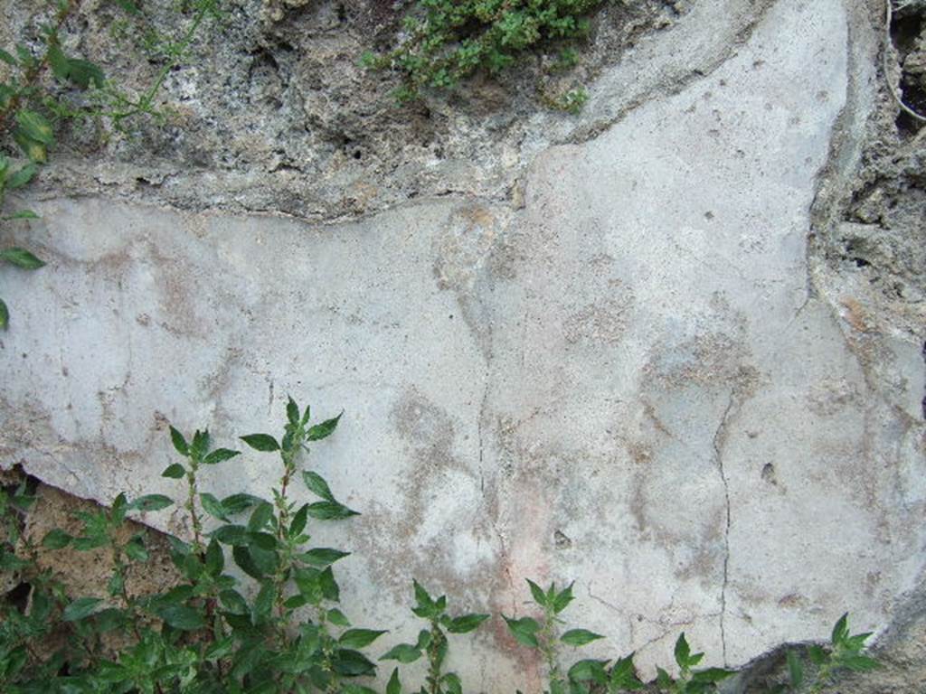IV.2.a Pompeii. May 2006. Detail of painted plaster.