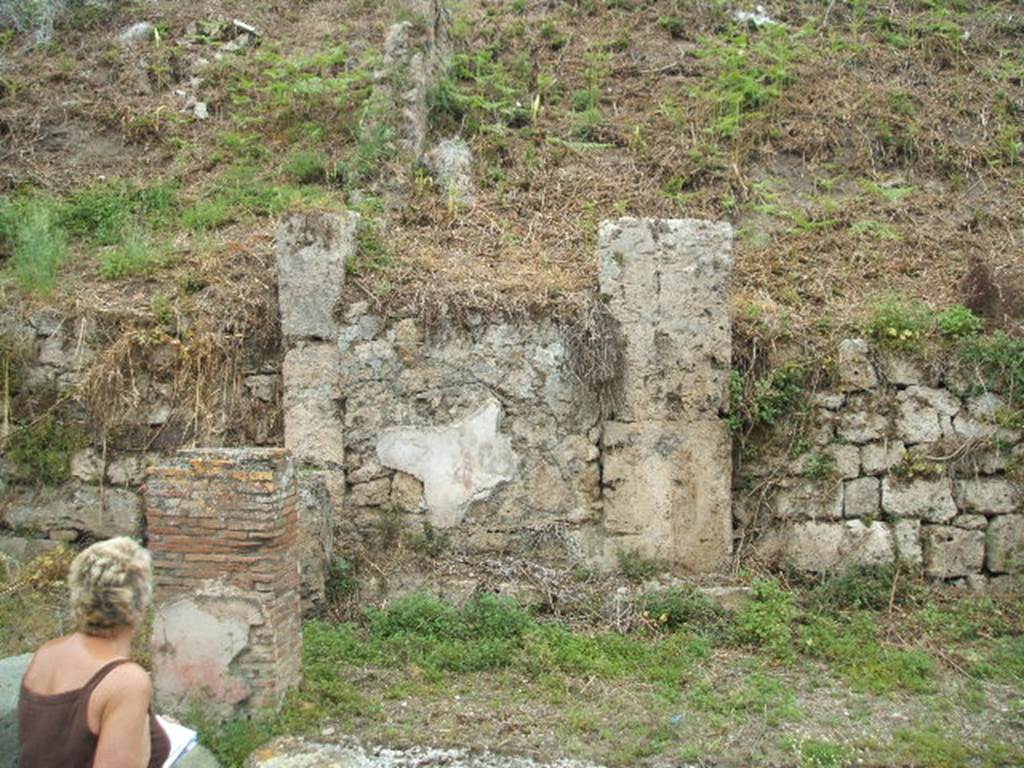 IV.2.a Pompeii. May 2005. Remains of painted plaster on west side of entrance.
