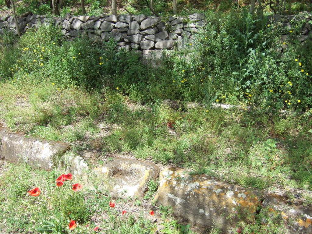 IV.4.c and IV.4.d, Pompeii. May 2006. Entrances.