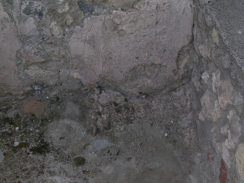V.1.2 Pompeii. June 2005.
Remains of plaster from rear west wall, on north end of podium, or basin/vat. Photo courtesy of Nicolas Monteix.