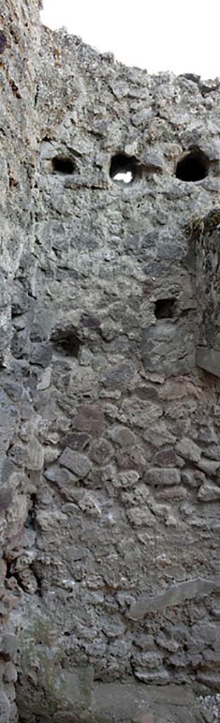 V.1.3 Pompeii. c.2008-10.
Room “c”, north wall of latrine. Photo by Hans Thorwid.
Photo courtesy of the Swedish Pompeii Project.