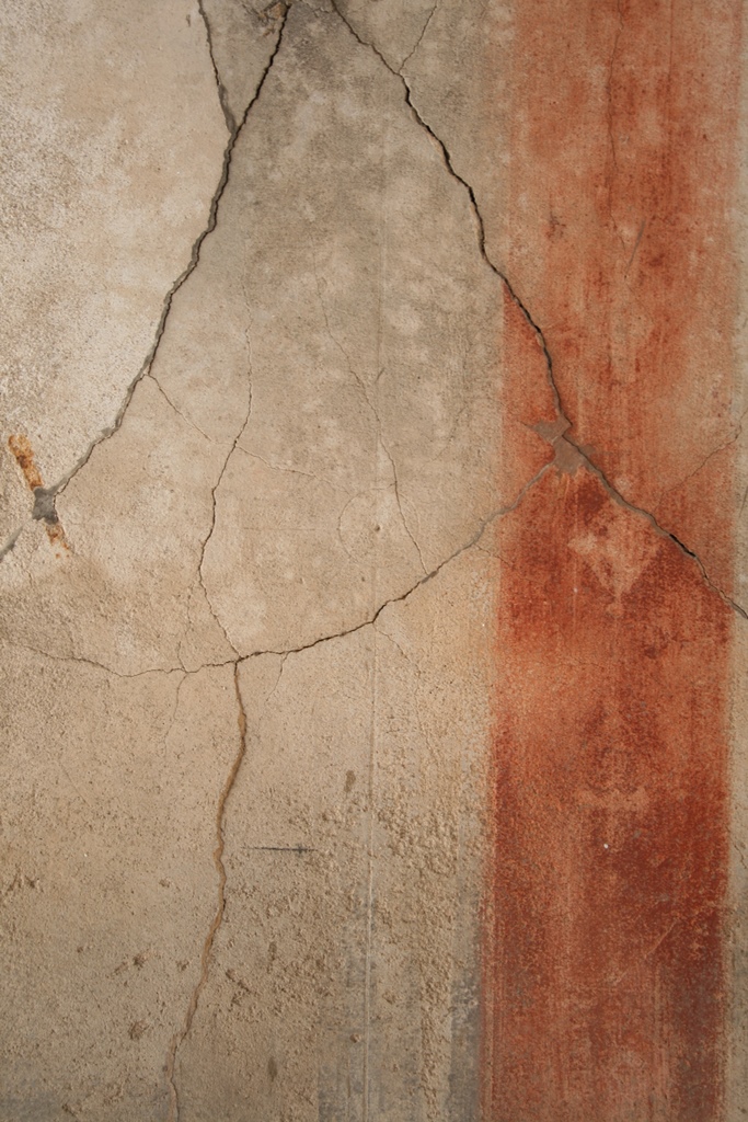 V.1.7 Pompeii. c.2005-7.
Room 8, detail of painted decoration on west wall with candelabra on red panel.
Photo by Thomas Staub.
Photo courtesy of the Swedish Pompeii Project.