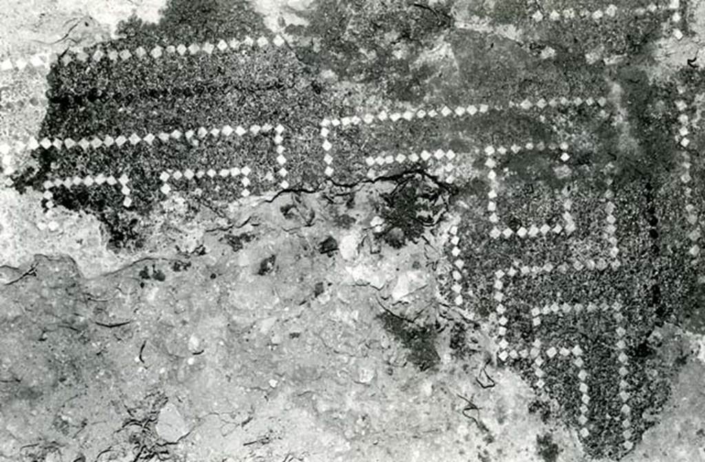 V.1.7 Pompeii. 1972. House of the Bull, second doorway, third room, E of atrium, floor. Photo courtesy of Anne Laidlaw.
American Academy in Rome, Photographic Archive. Laidlaw collection _P_72_8_28.