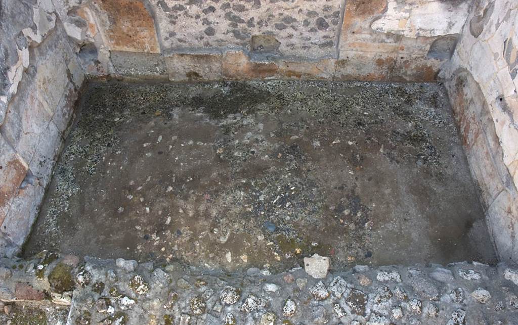 V.1.7 Pompeii. c.2005-7. Room 14, floor of west ala, when wet. Photo by Hans Thorwid.
Photo courtesy of the Swedish Pompeii Project.
