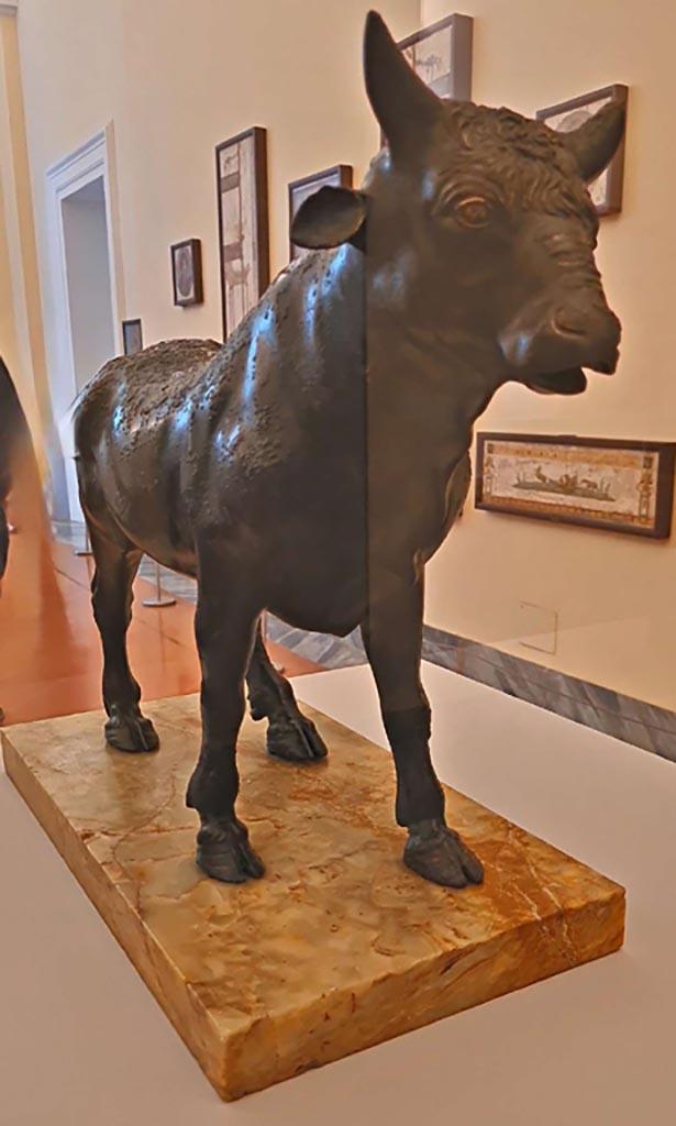 V.1.7 Pompeii, October 2023.
Bronze bull from north side of impluvium in atrium. Photo courtesy of Giuseppe Ciaramella.
On display in “L’altra MANN” exhibition, October 2023, in Naples Archaeological Museum, inv. 4890.