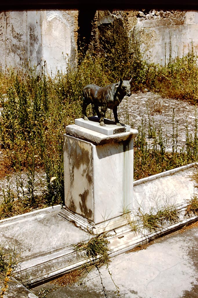 V.1.7 Pompeii. 1959.
North side of impluvium in atrium with model of bronze bull, in situ. Photo by Stanley A. Jashemski.
Source: The Wilhelmina and Stanley A. Jashemski archive in the University of Maryland Library, Special Collections (See collection page) and made available under the Creative Commons Attribution-Non-Commercial License v.4. See Licence and use details.
J59f0434